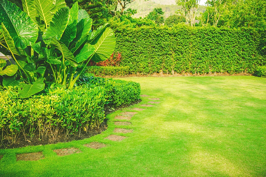 Flower Bed Edging