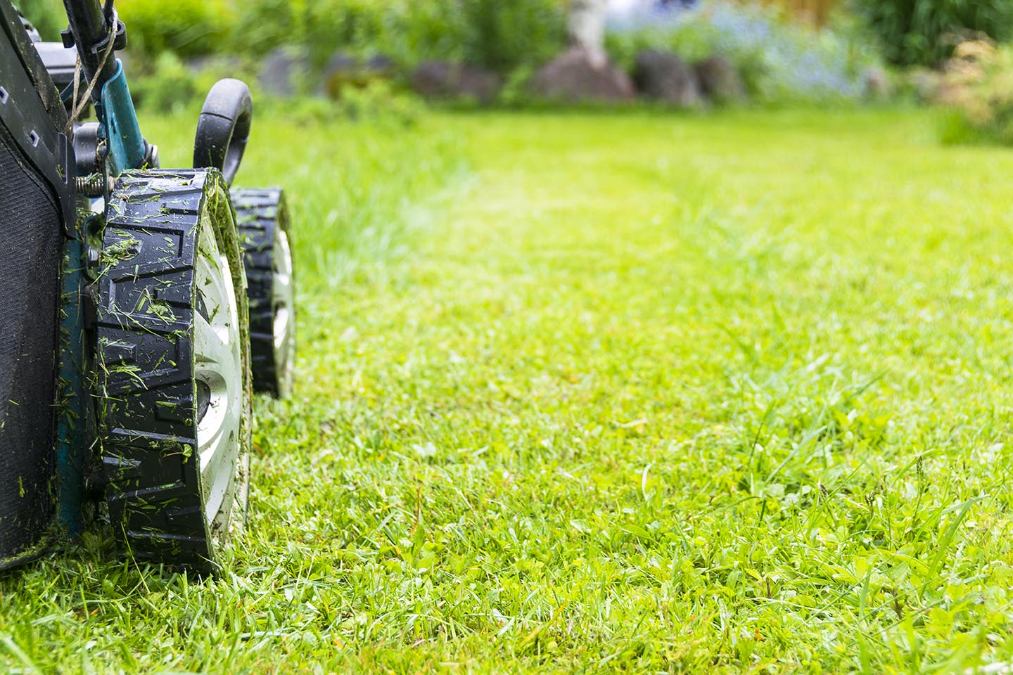 Lawn Mowing Image 