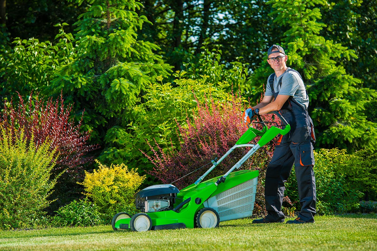 Lawn Fertilising and Weed Control