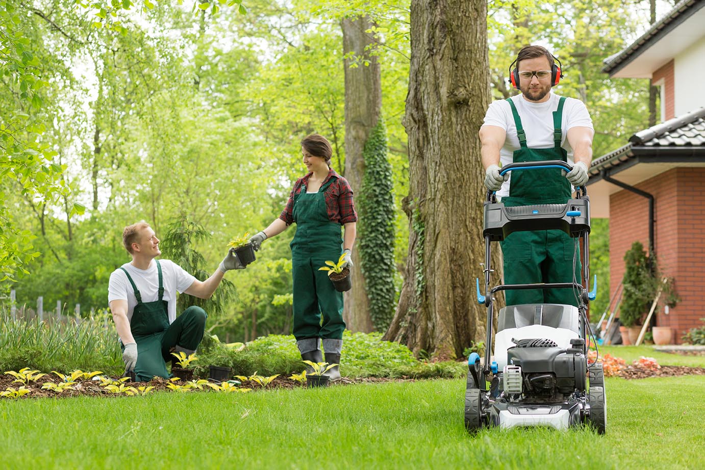 Affordable Lawn Mowing Services