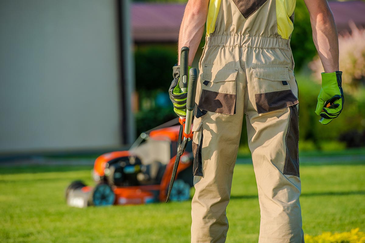 Lawn Mowing Services Gold Coast