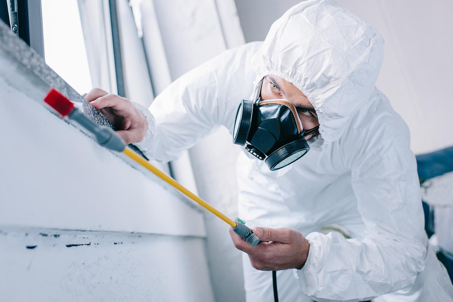  Commercial Pest Control in Sydney Area
