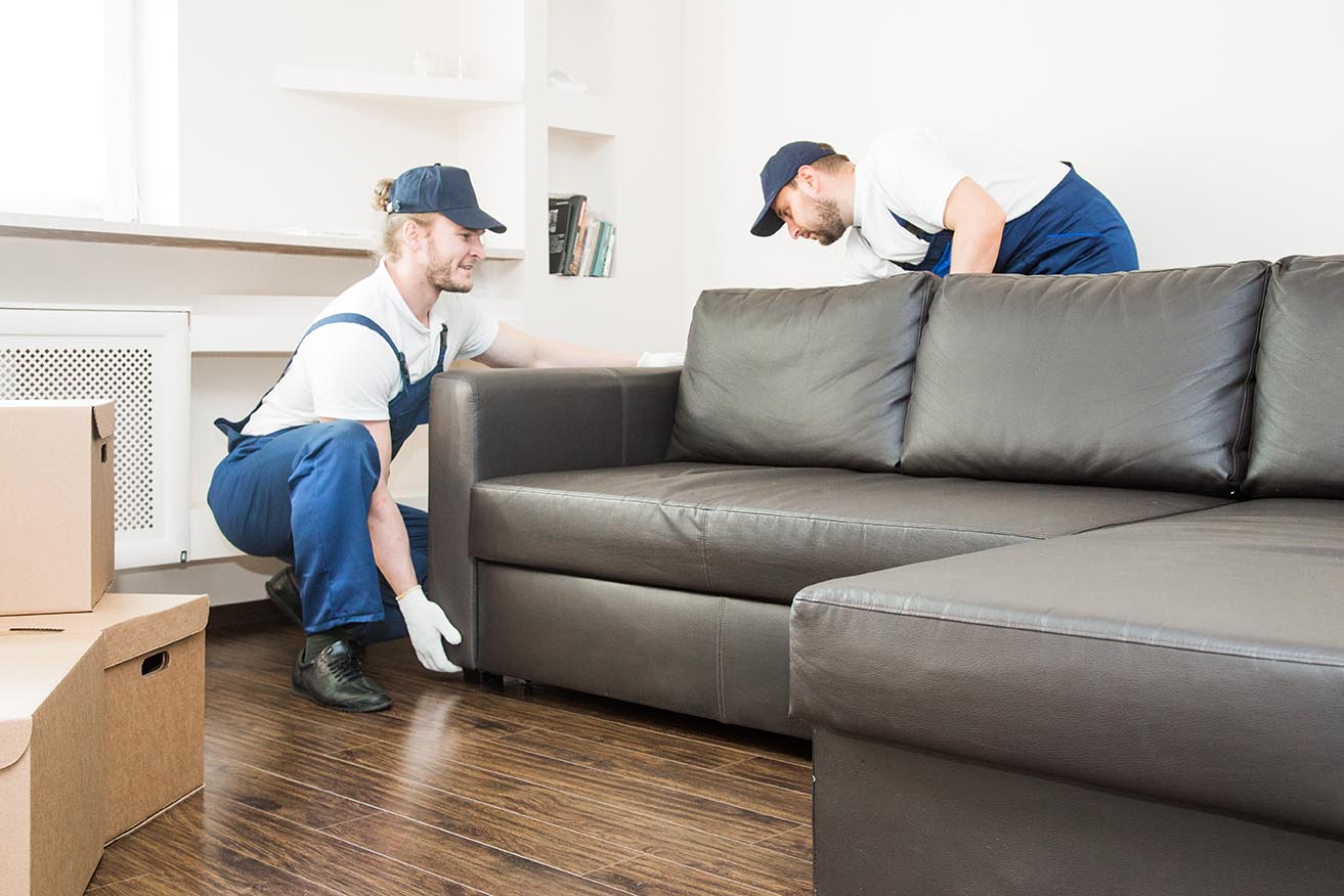 Best Moving Companies in Canterbury