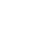 Mechanic