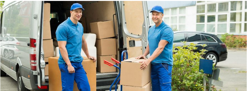 Professional Removalists Have Insurance