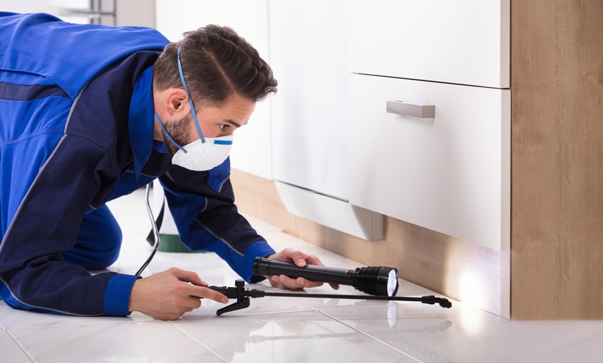 Pest Control Services Geelong