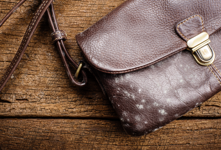 How to Remove Mould From Leather