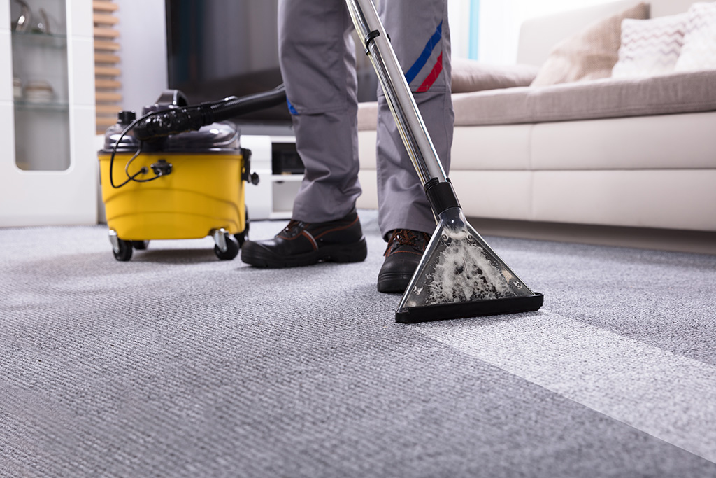 Carpet Cleaning 